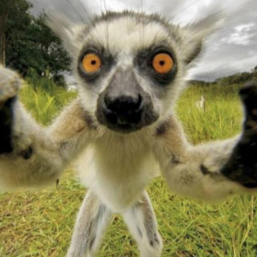 江湖已远传说不断