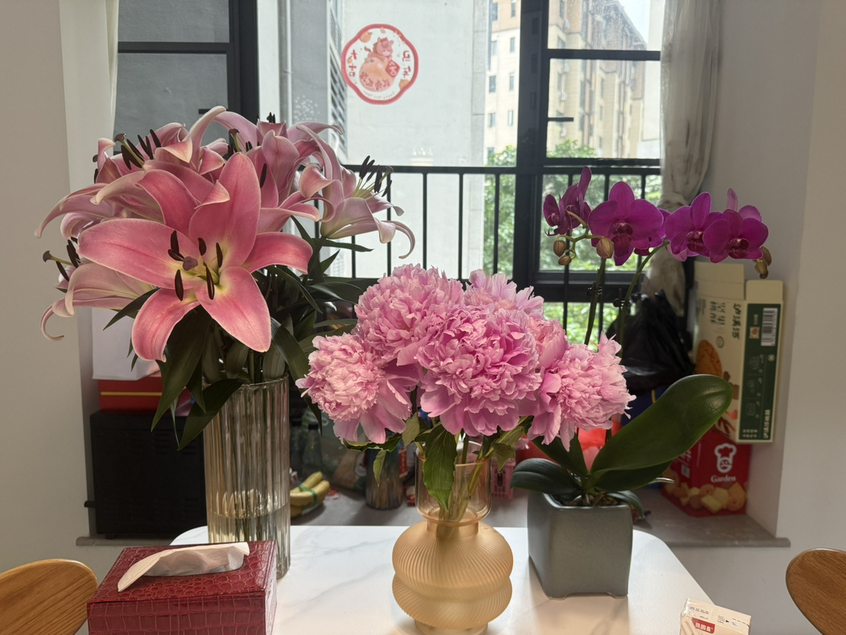 花开满堂