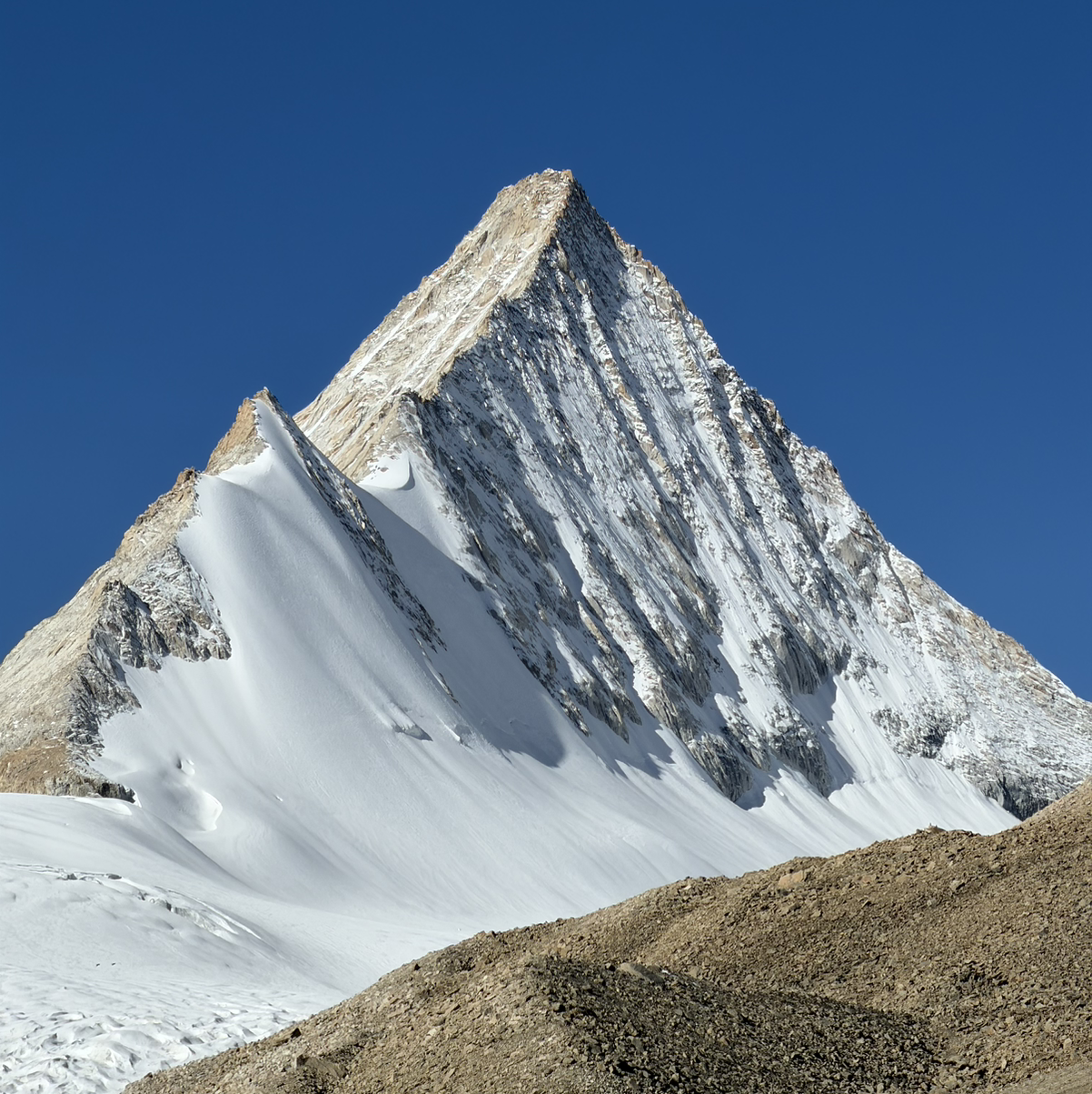 ccd007