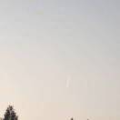 Mc_2444