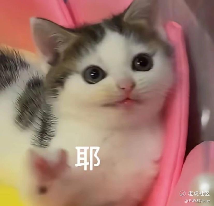 半城烟沙blue