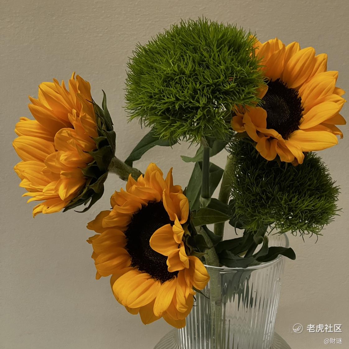 財谜