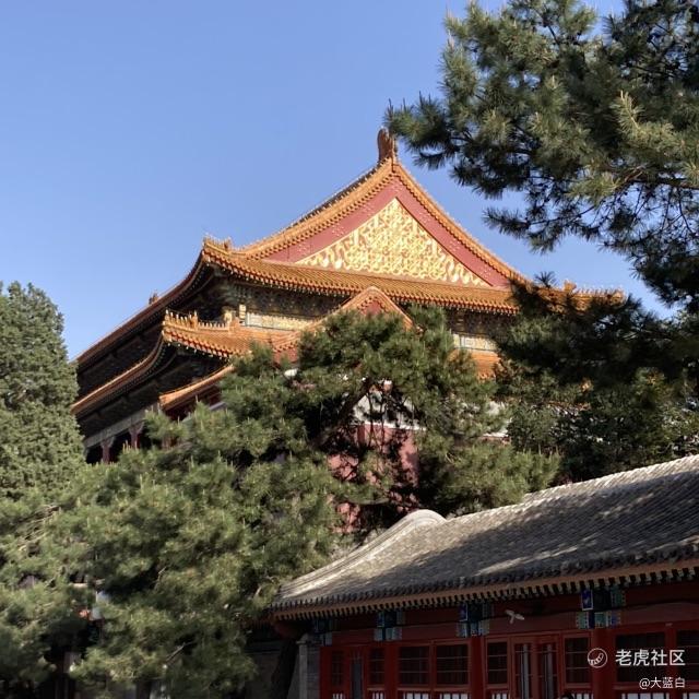 大蓝白