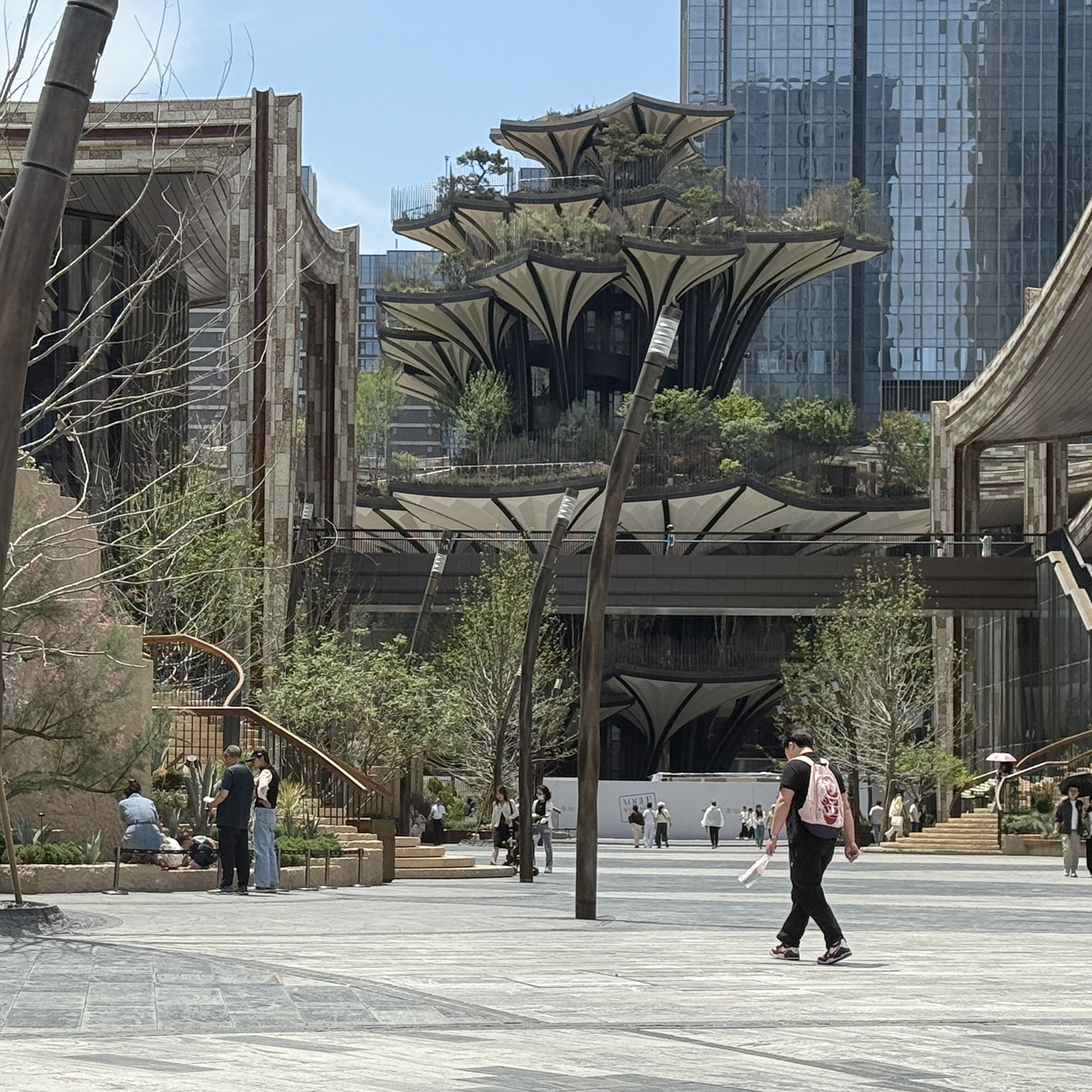 一棵要强的小韭菜