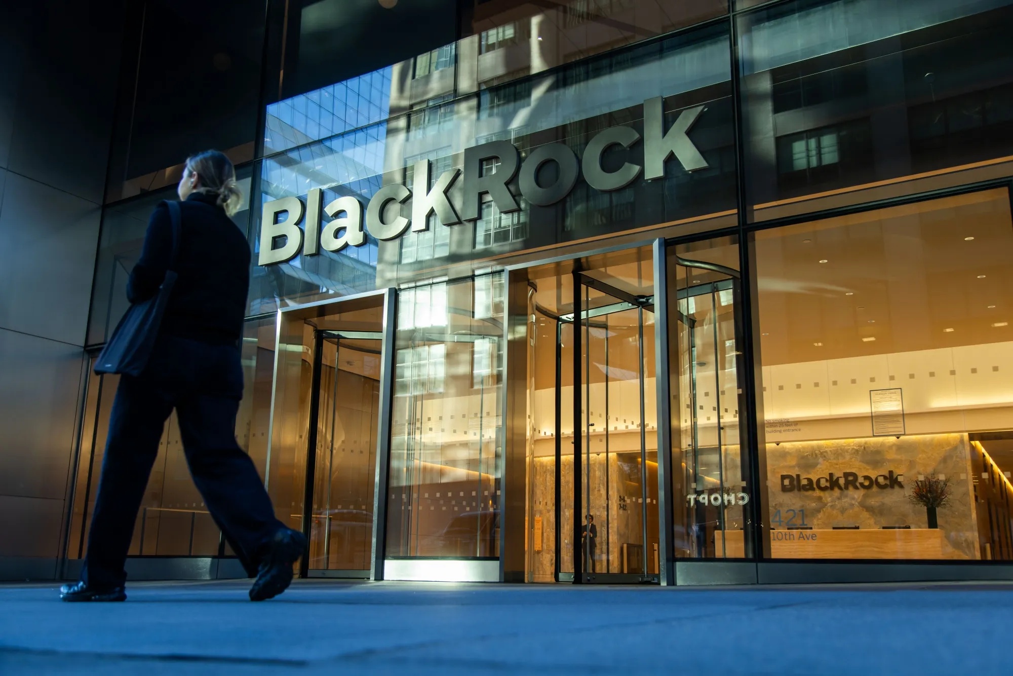 BlackRock Chief Executive Officer&nbsp;Larry Fink&nbsp;has moved aggressively to expand in private markets.