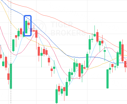 Source：Tiger trade app（请注意，案例仅是示例，并不构成对未来投资的建议。）