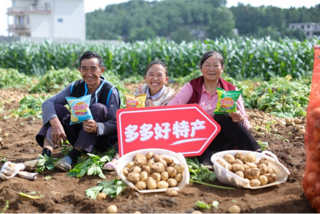 在云南昭通，当地土豆加工的网红薯片让农户丰产增收。（闵杉 摄）