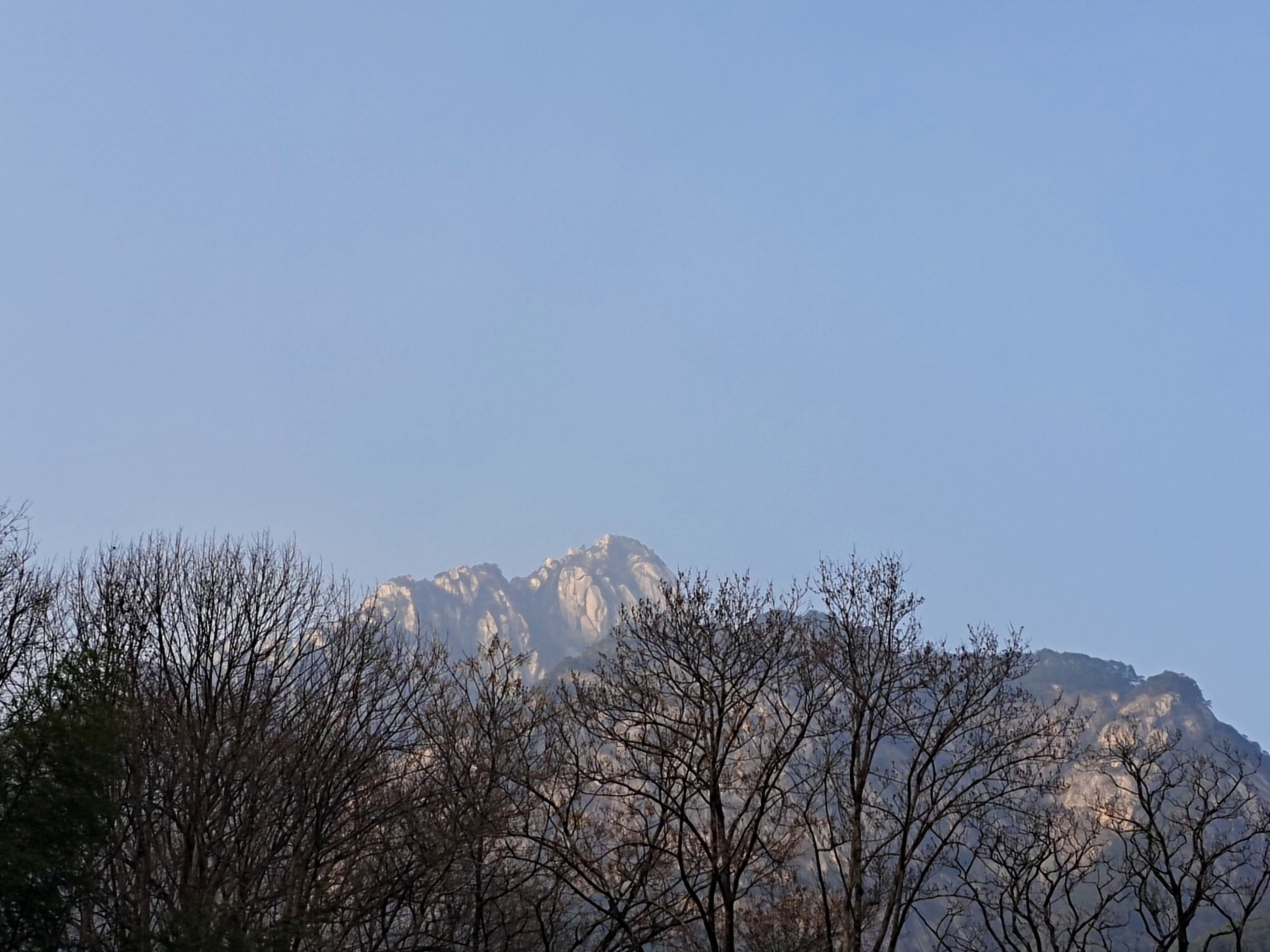 灯海湖虫鸣