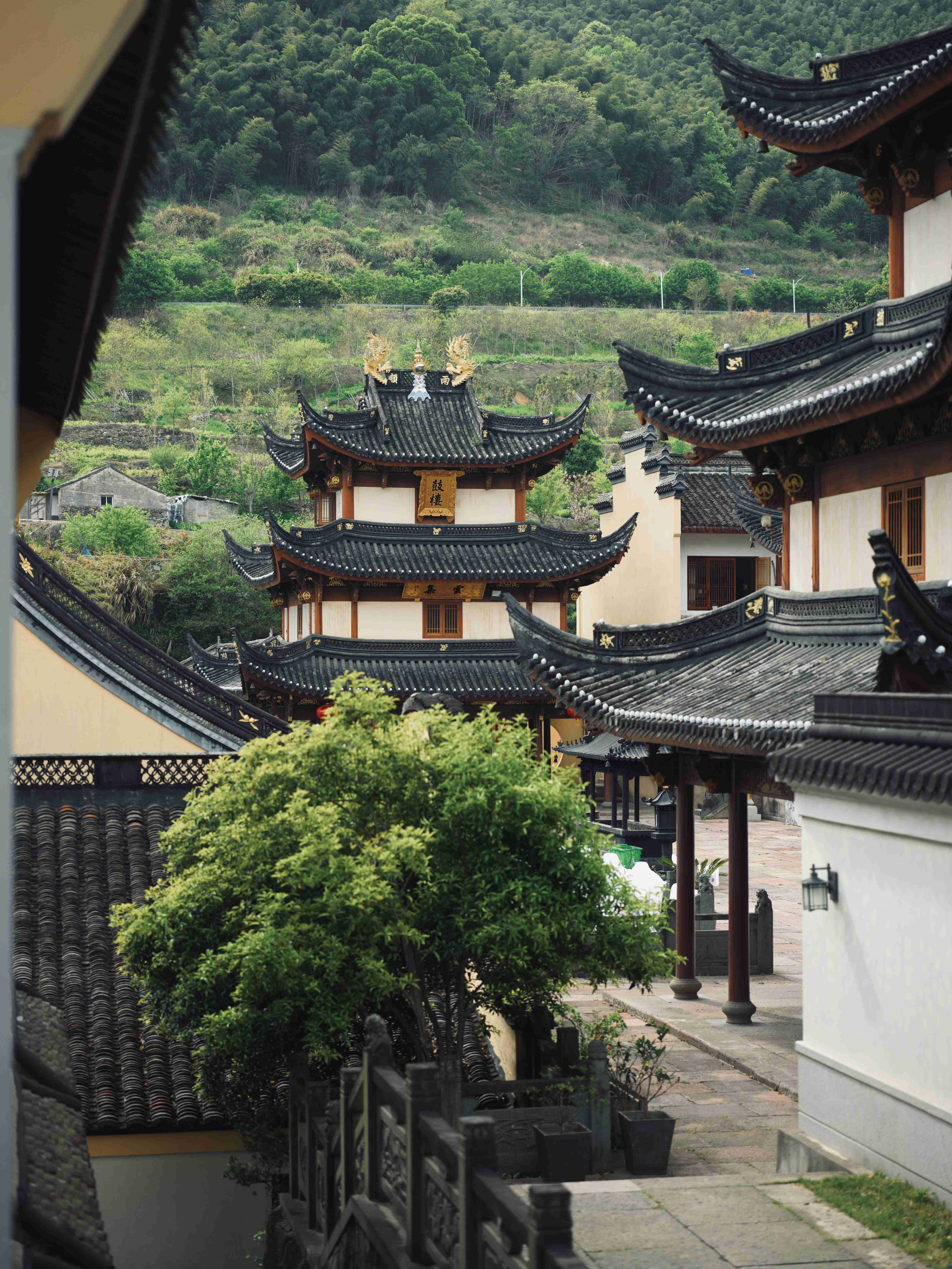 麻酥酥