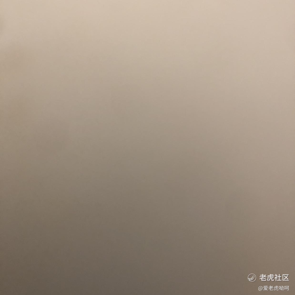 爱老虎呦呵