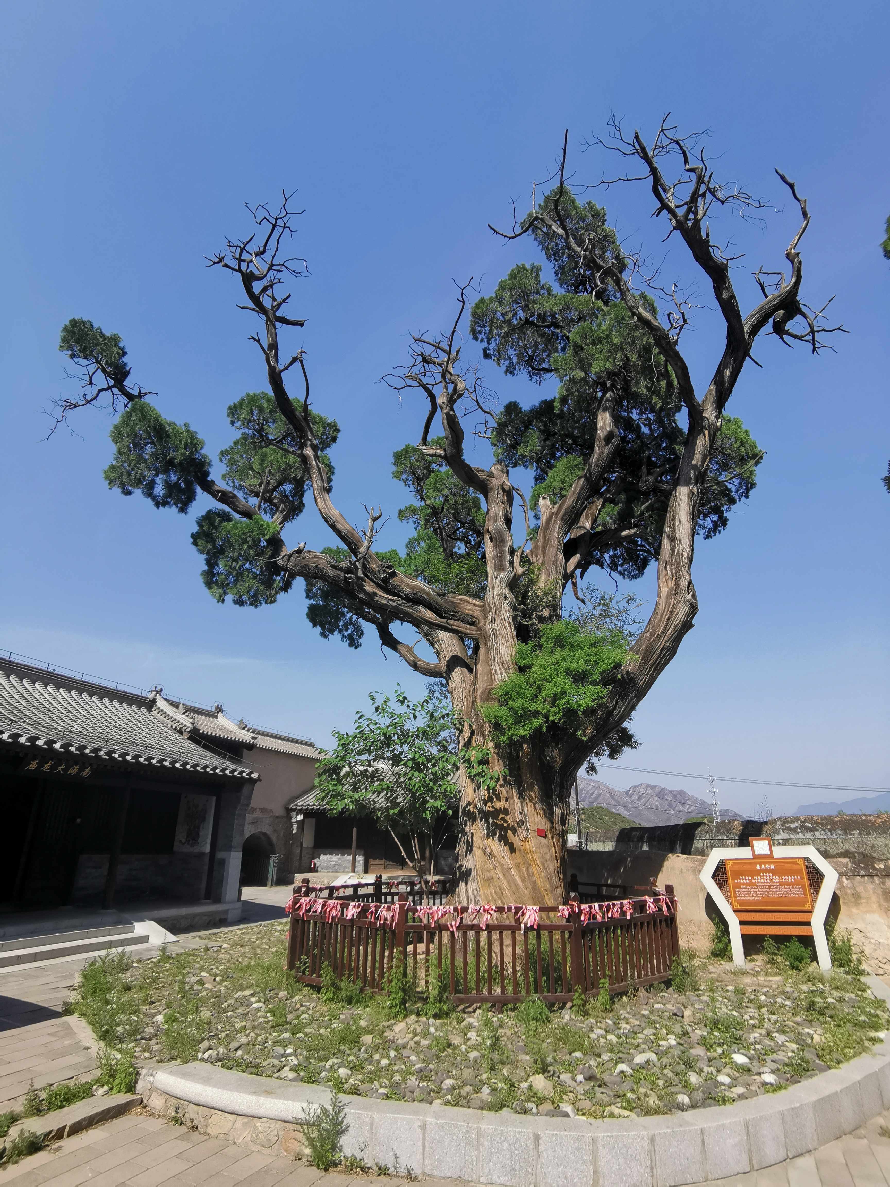 惜福养身