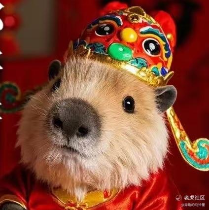 奔跑的马铃薯