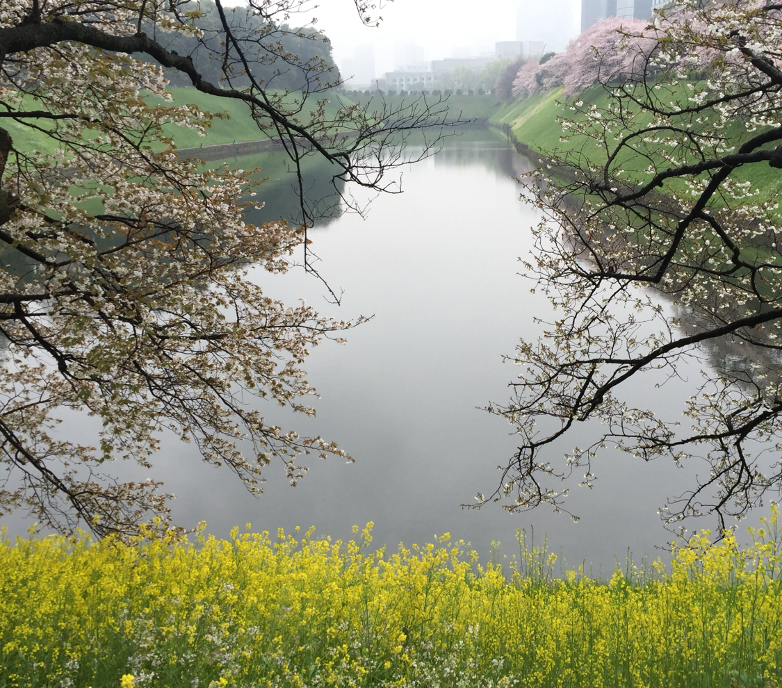 水淼淼木林森