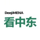 看中东DeepMENA