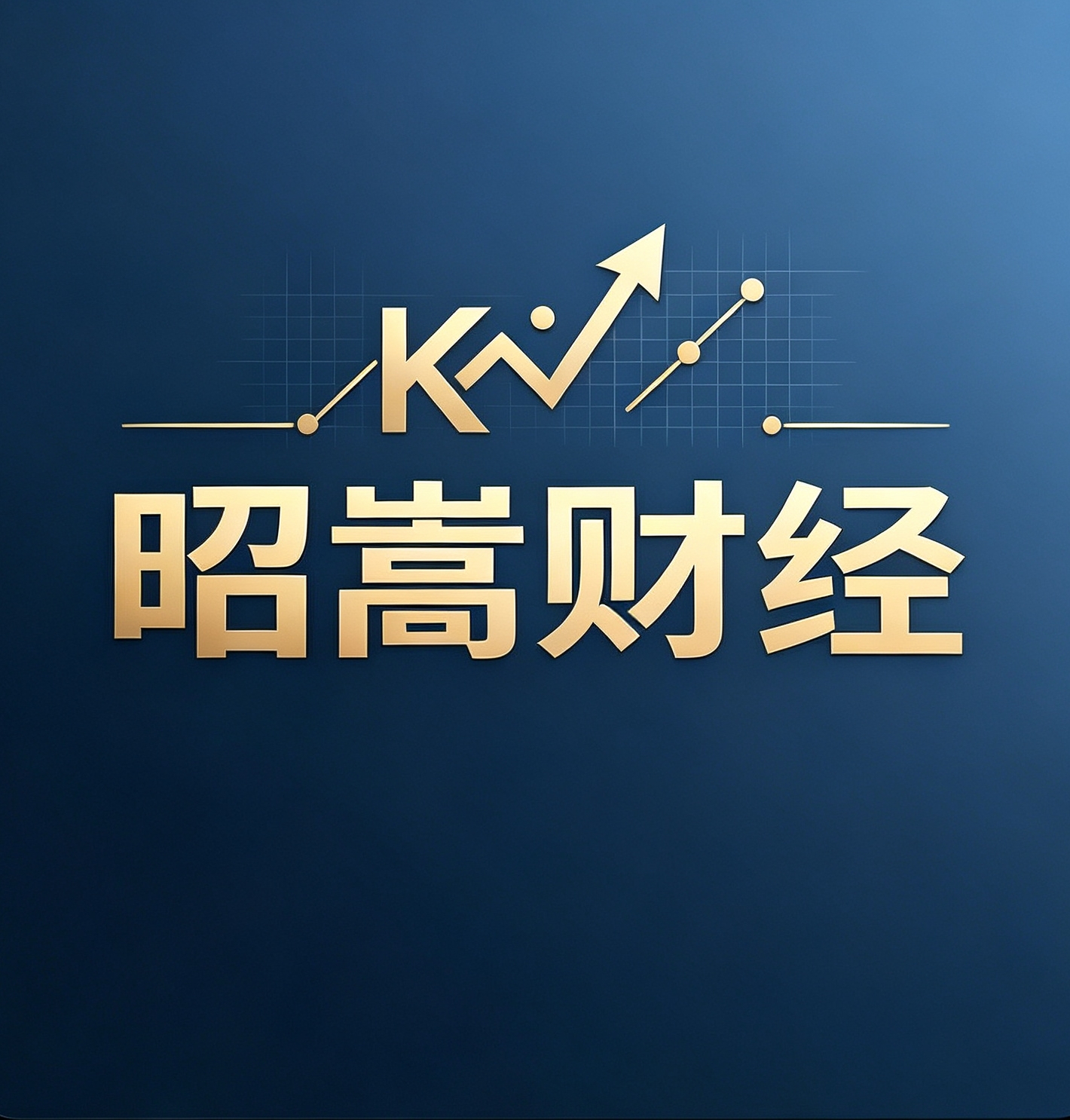 昭嵩财经