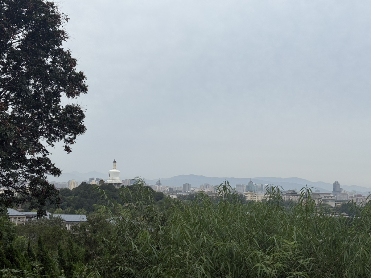 小苹果一定能赢