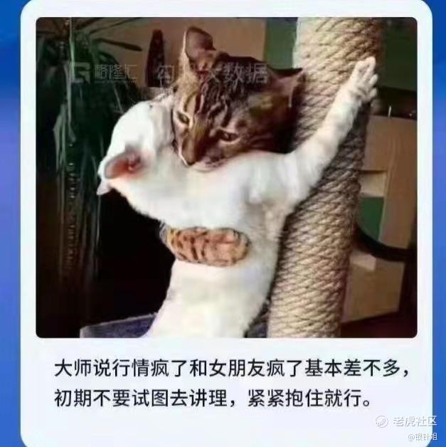 银甄