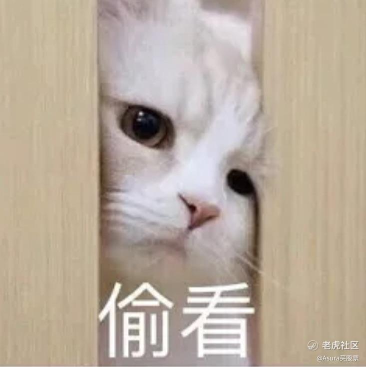 Asura买股票