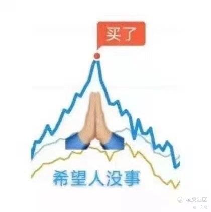 一只鸟