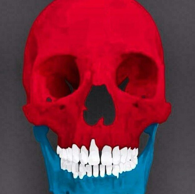 天下帝王皆賊也