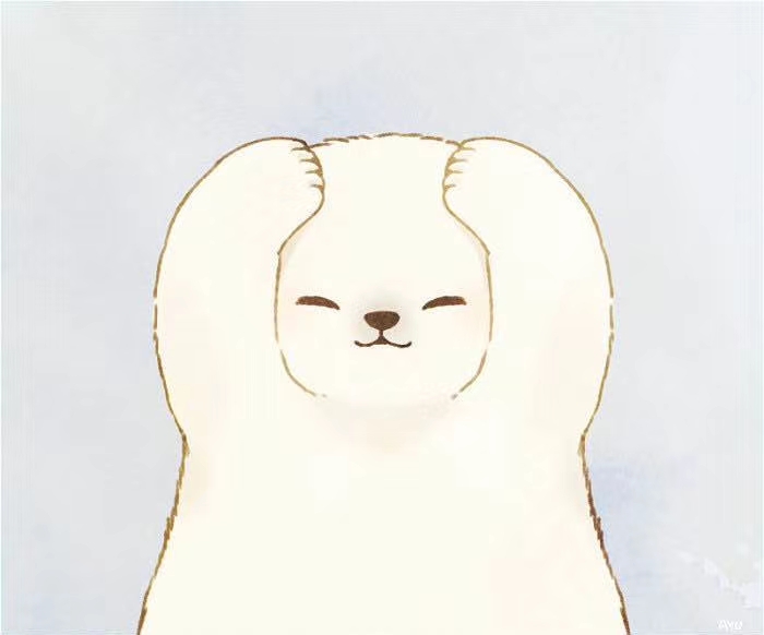 拾壹不败