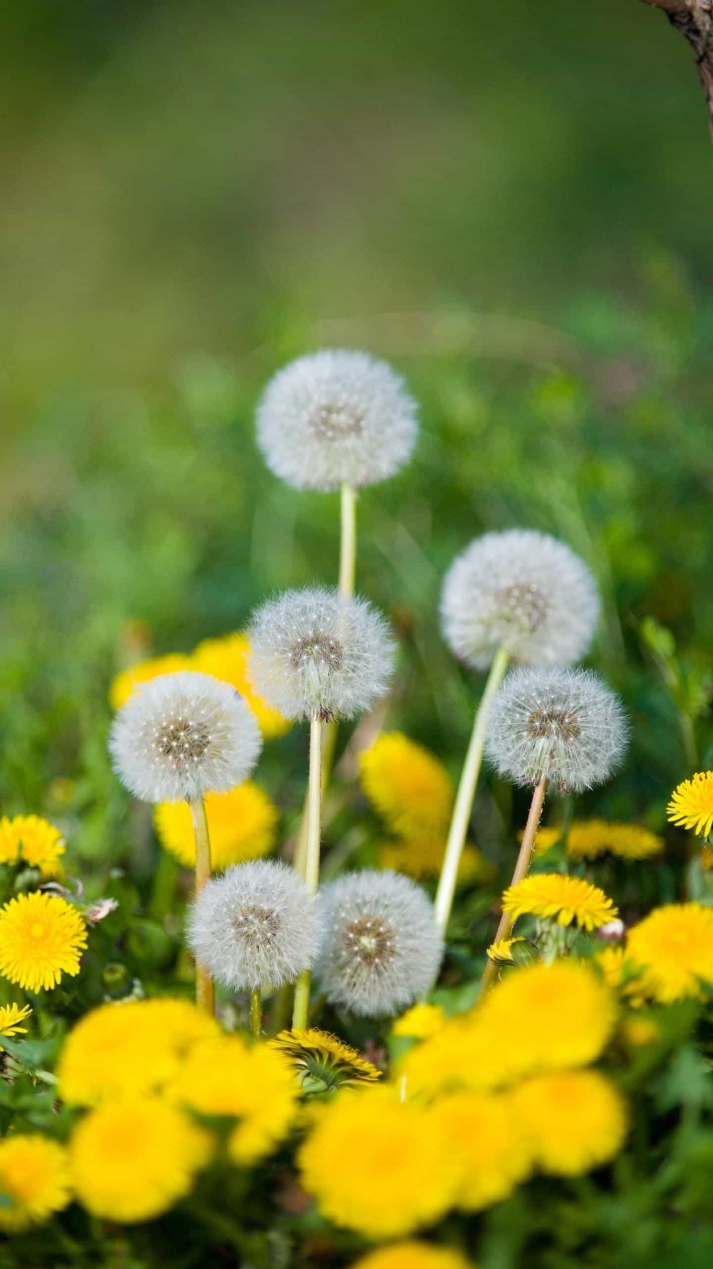 仓又加错我吃面