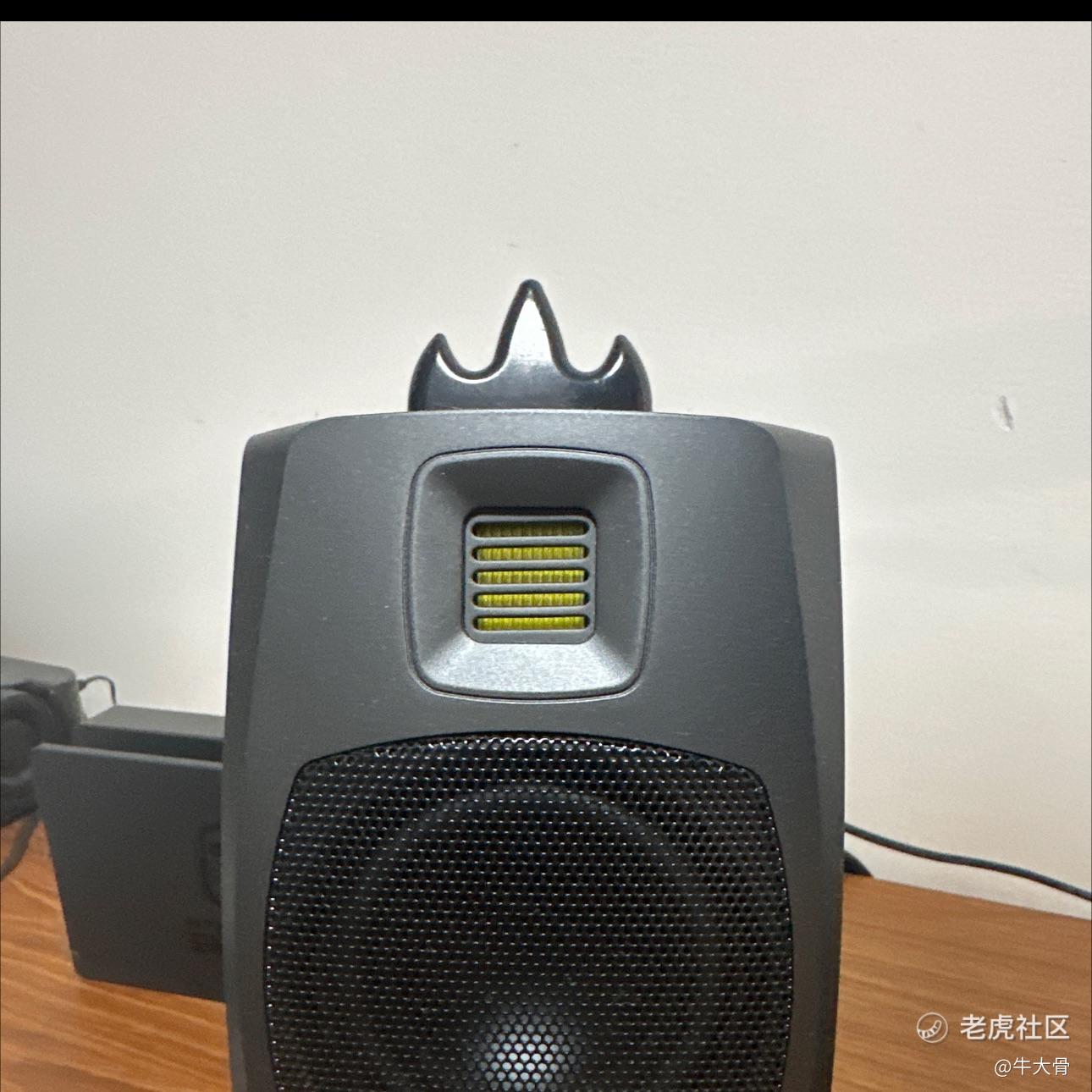 牛大骨