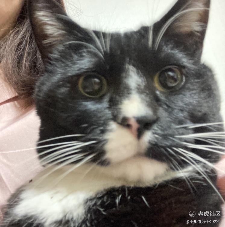 不知道为什么这么