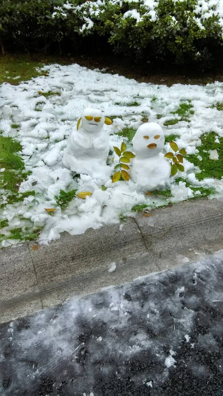 港股大新人