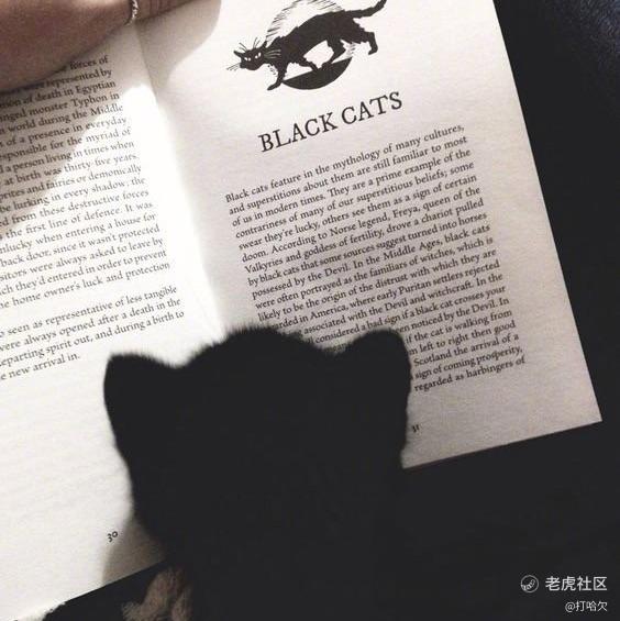 打哈欠