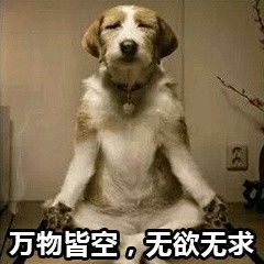 元宇宙起飞了吗