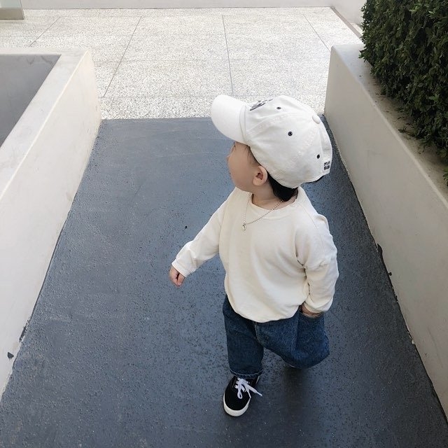 钱包爸爸