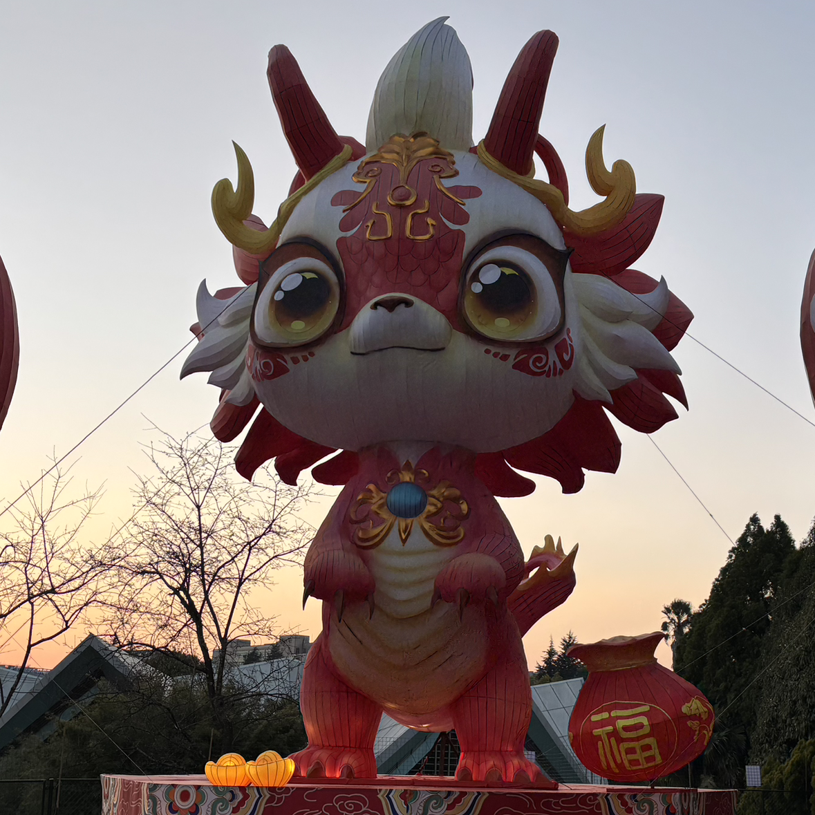 安静的小兔子