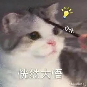 猫头怪咪