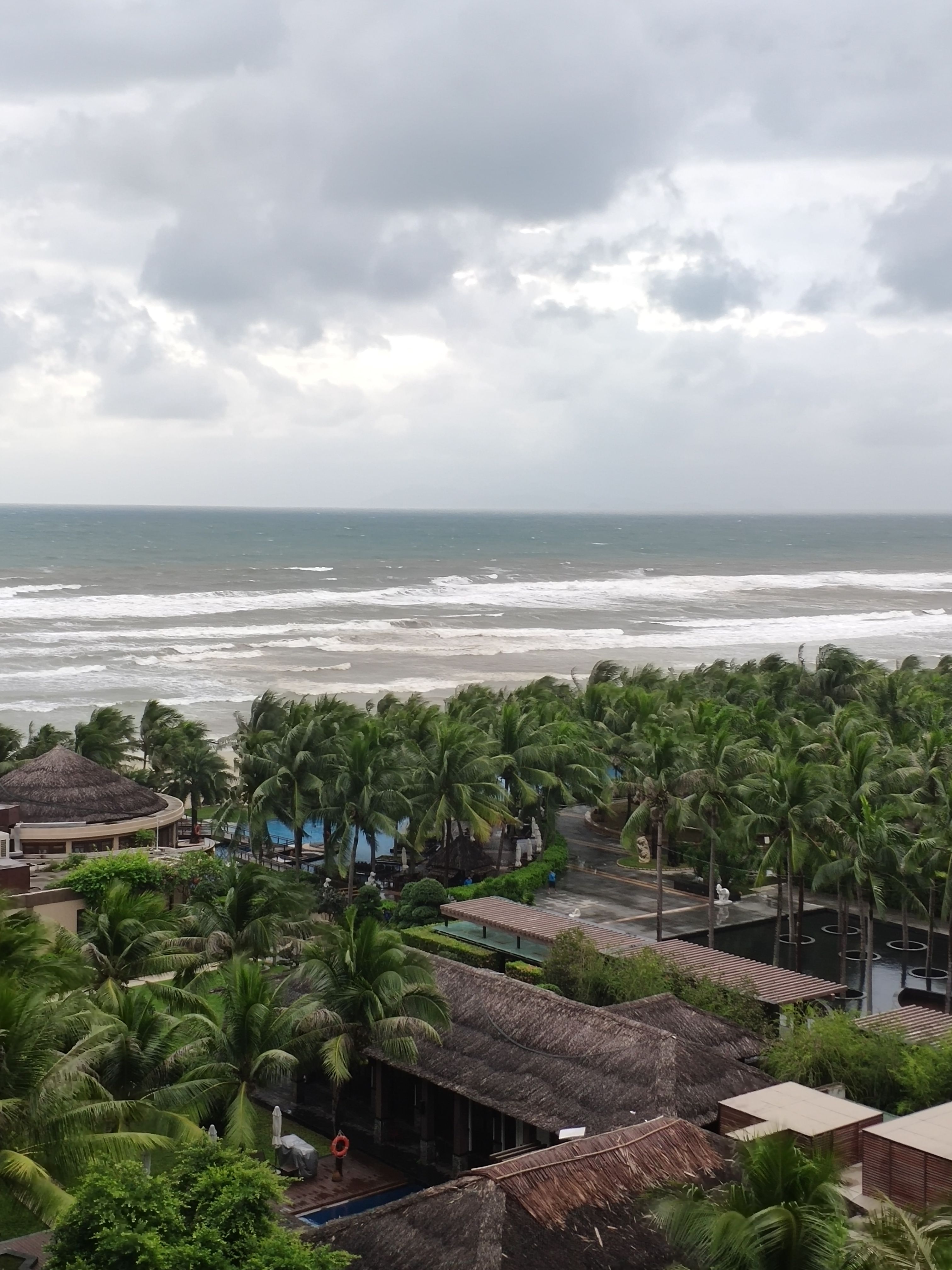 鼓浪听涛的贝壳