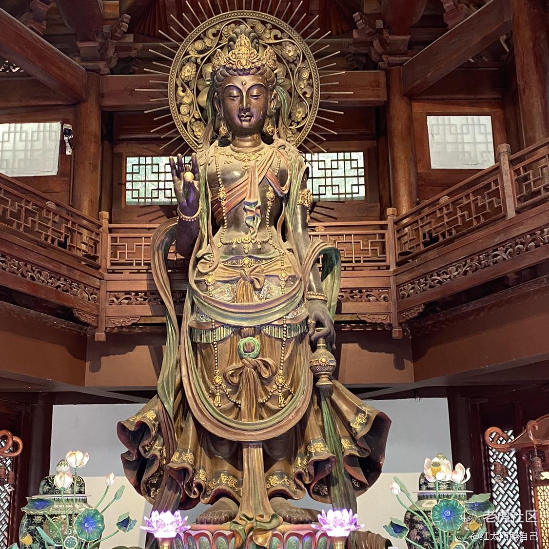 红太阳照自己