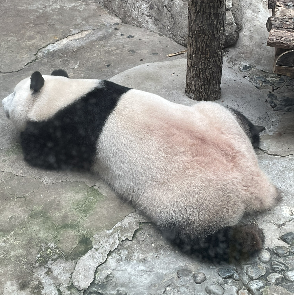 鸟钱不赚也罢