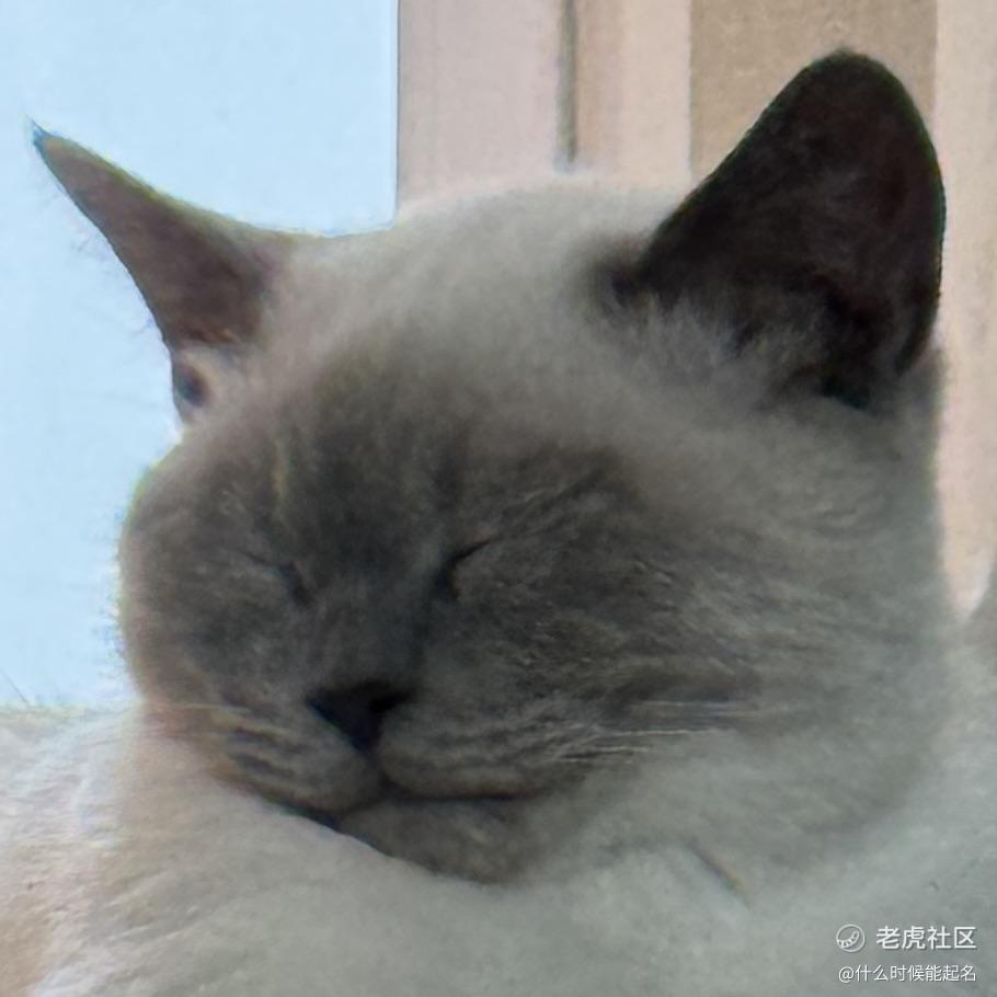 什么时候能起名