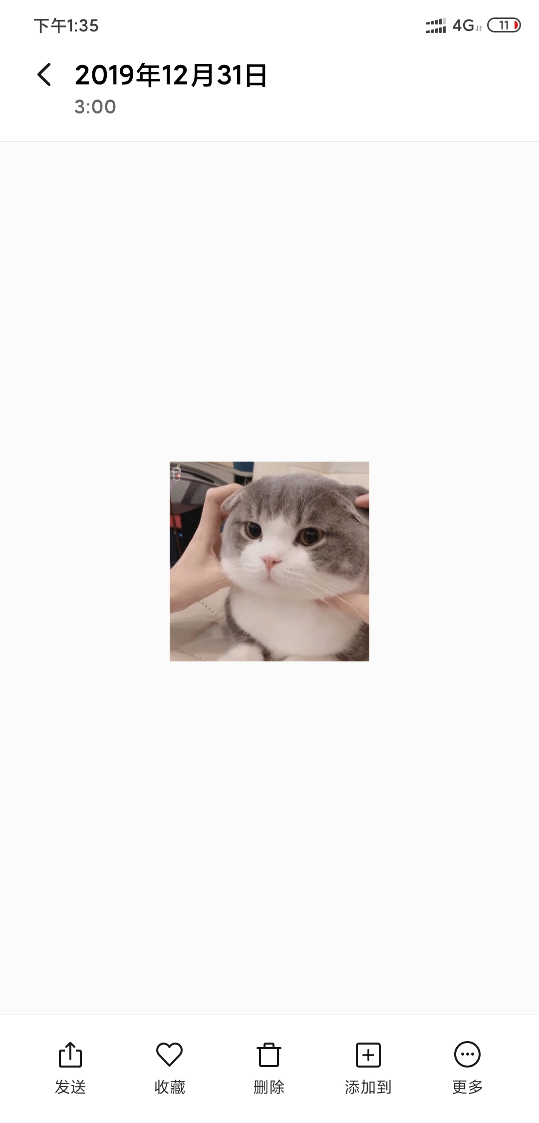颜姐是只猫