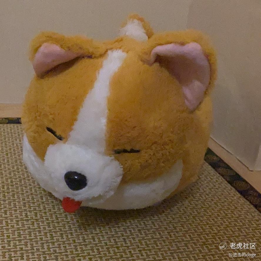 进击的doge