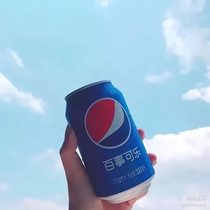 阿凯的北极熊
