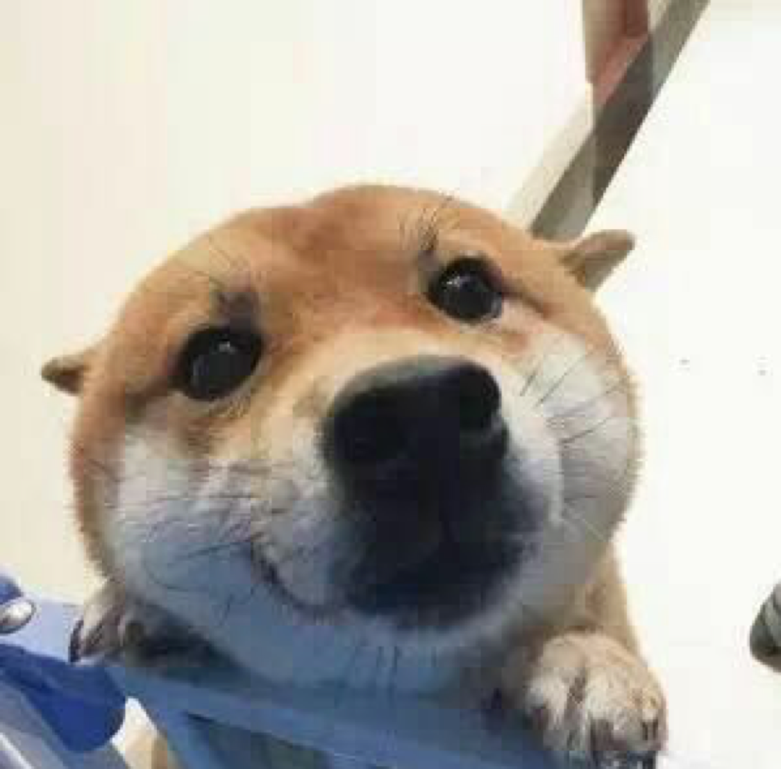 涨五倍回本