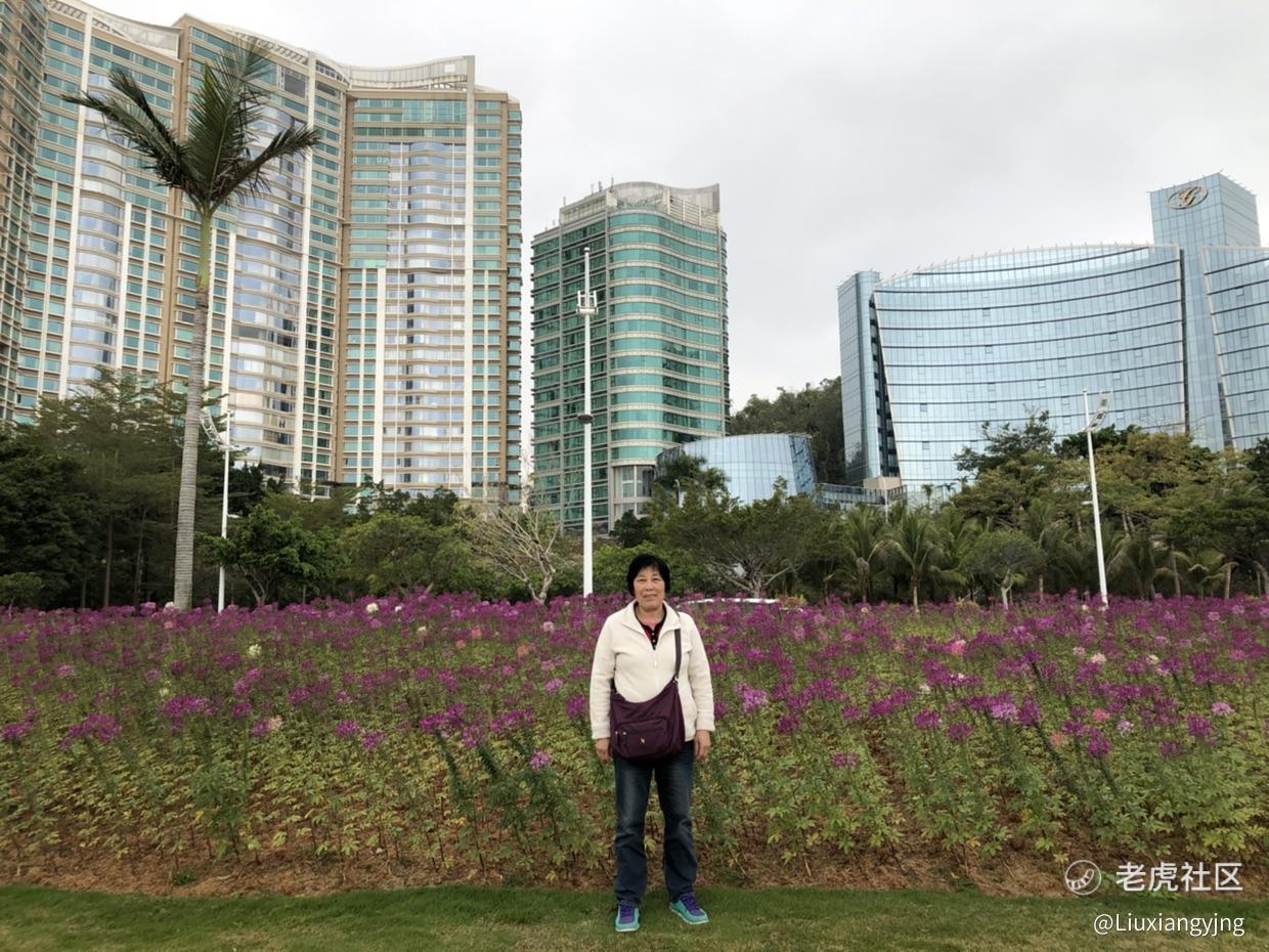 Liuxiangying