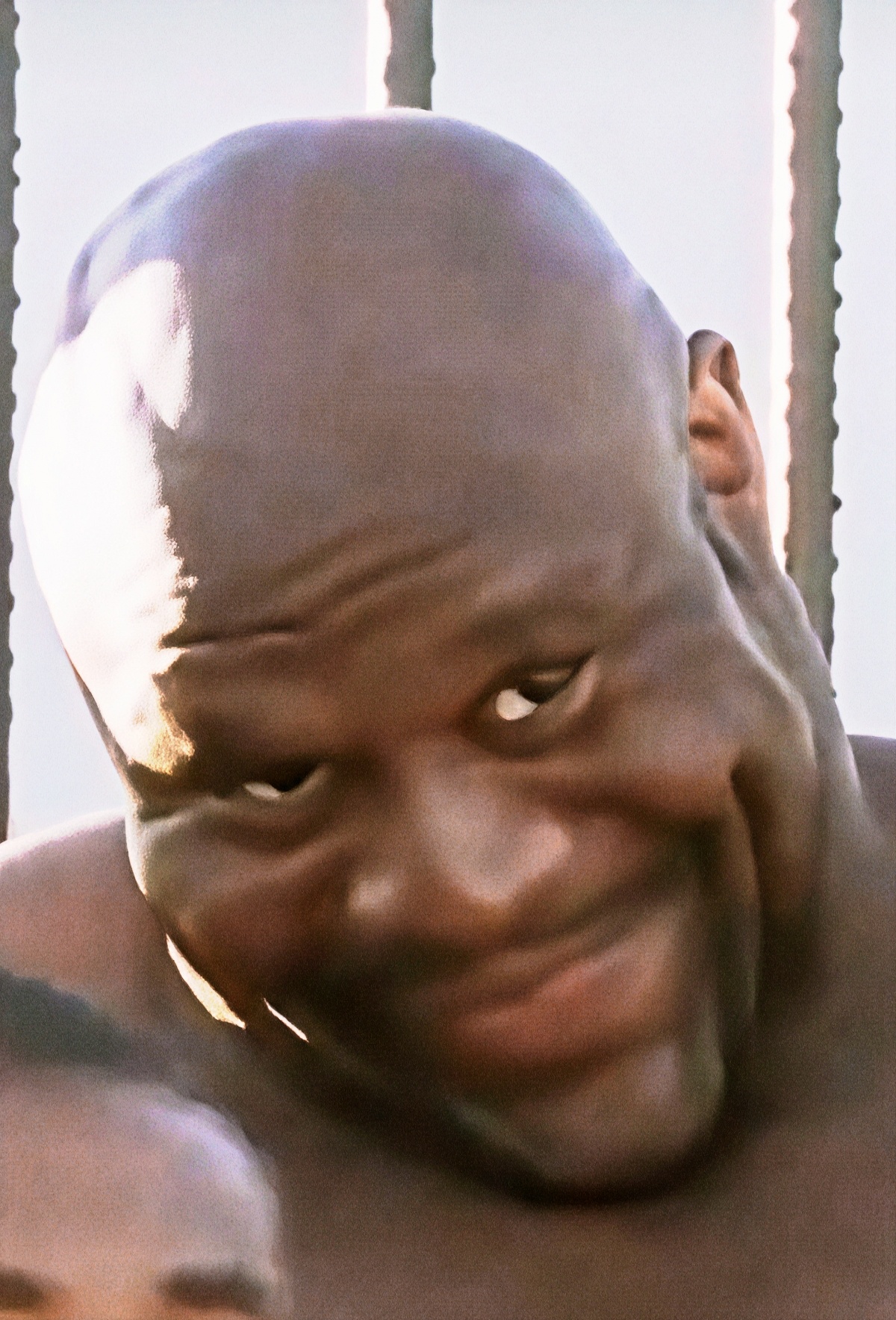 你們終於等來了我