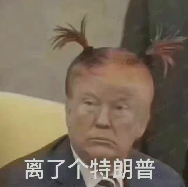 ZJF.YRCT