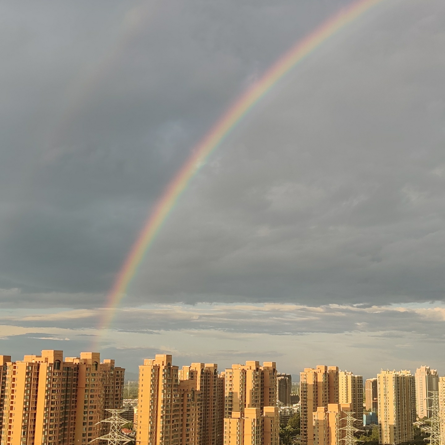 欲买桂花同载酒