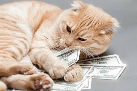 WealthyCat