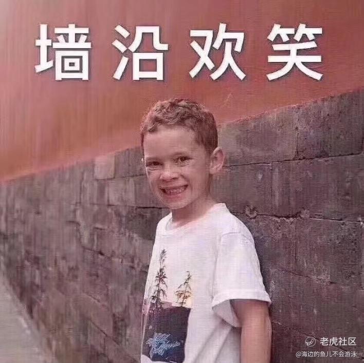 海边的鱼儿不会游泳