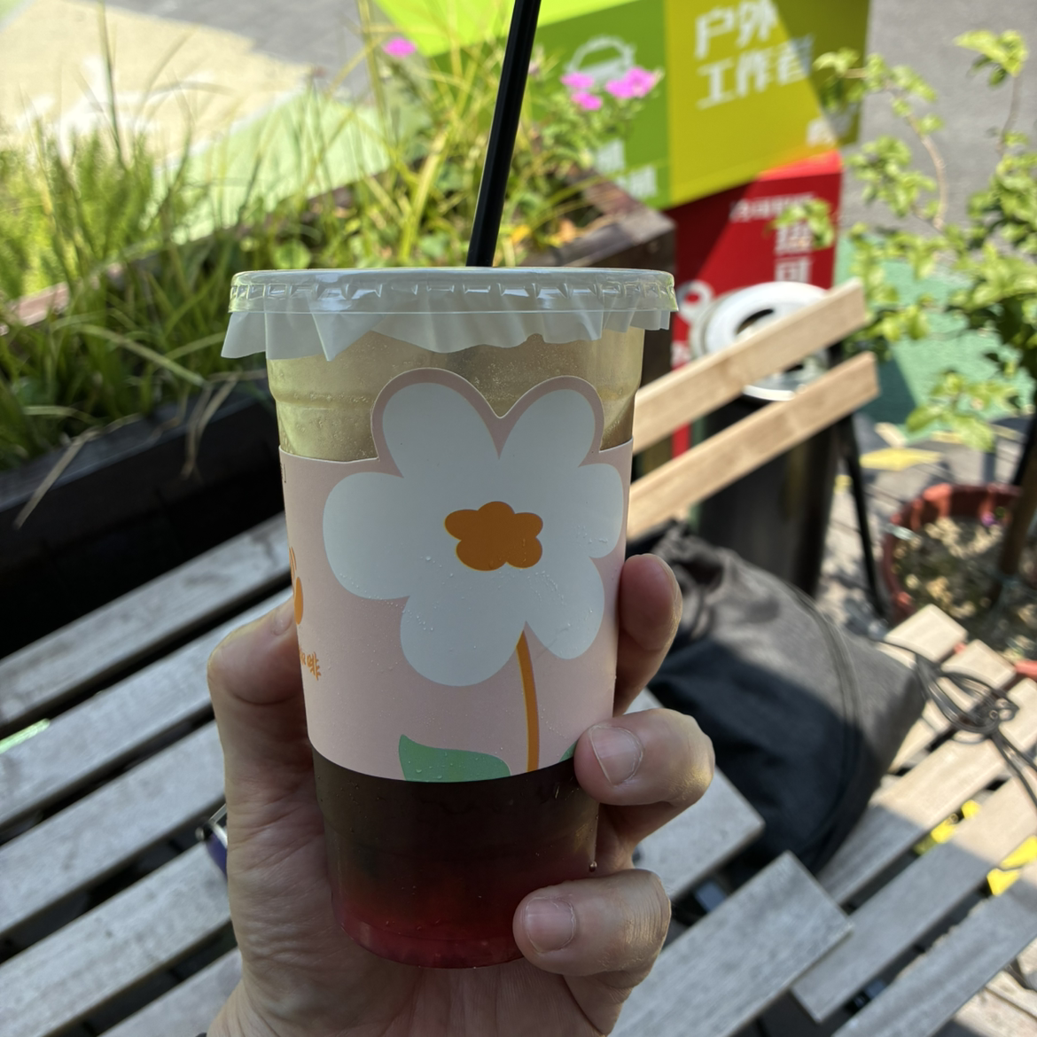 虎皮韭菜