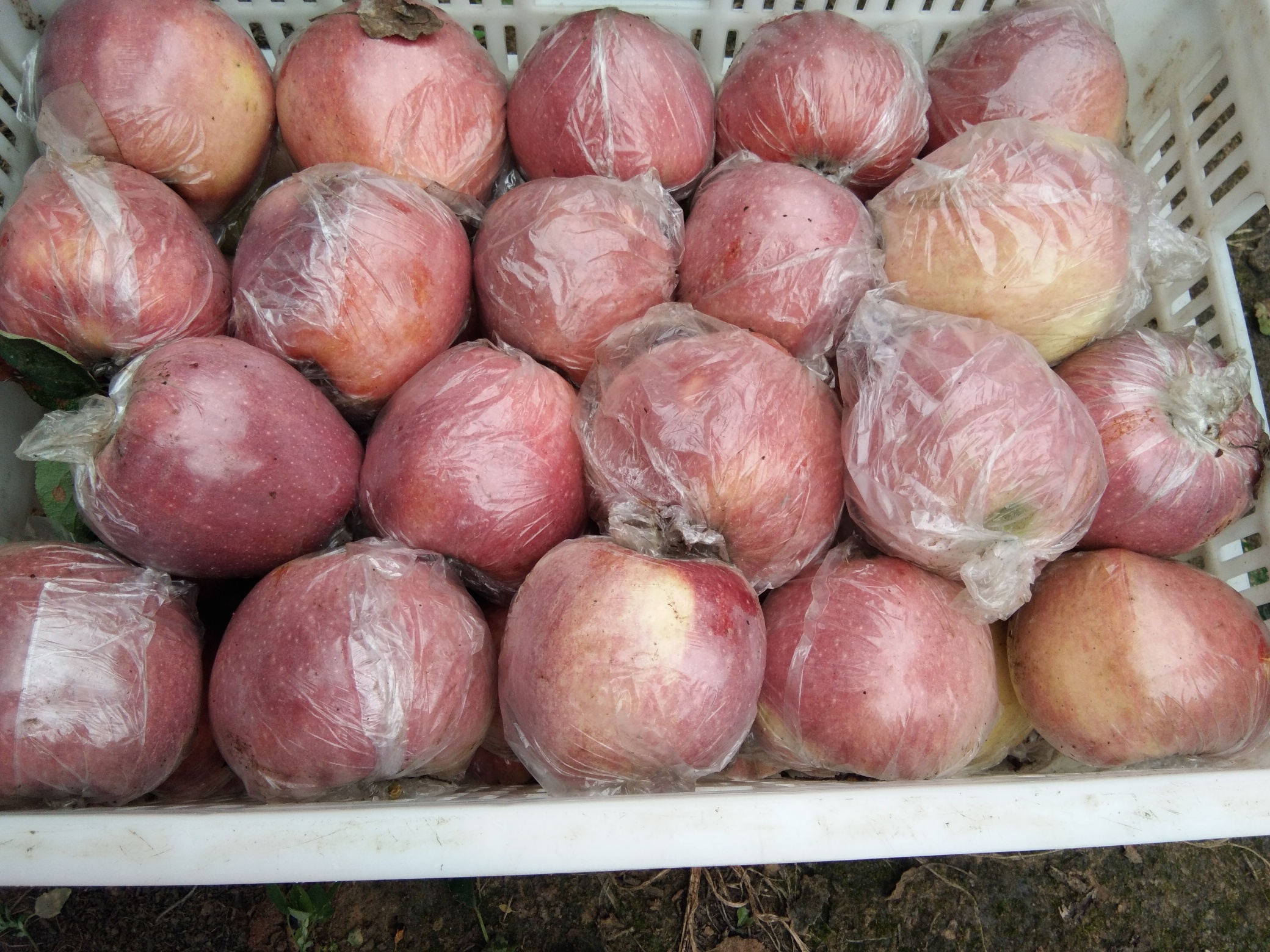 开心快乐每一天必须的